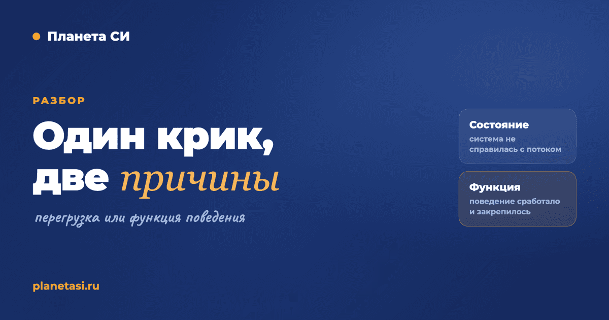 Сенсорная перегрузка или нежелательное поведение: как специалисту различить